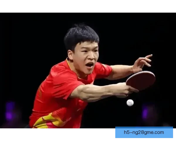 亚杯向鹏张本同区艺迪曼昱